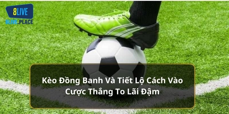 Tìm Hiểu Kèo Đồng Banh Hấp Dẫn Và Mẹo Chơi Từ Cao Thủ 8live