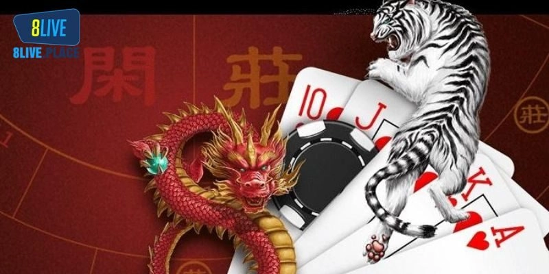 Bí quyết chơi Rồng Hổ cực dễ từ cao thủ